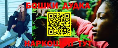 PSILOCYBIN Новодвинск