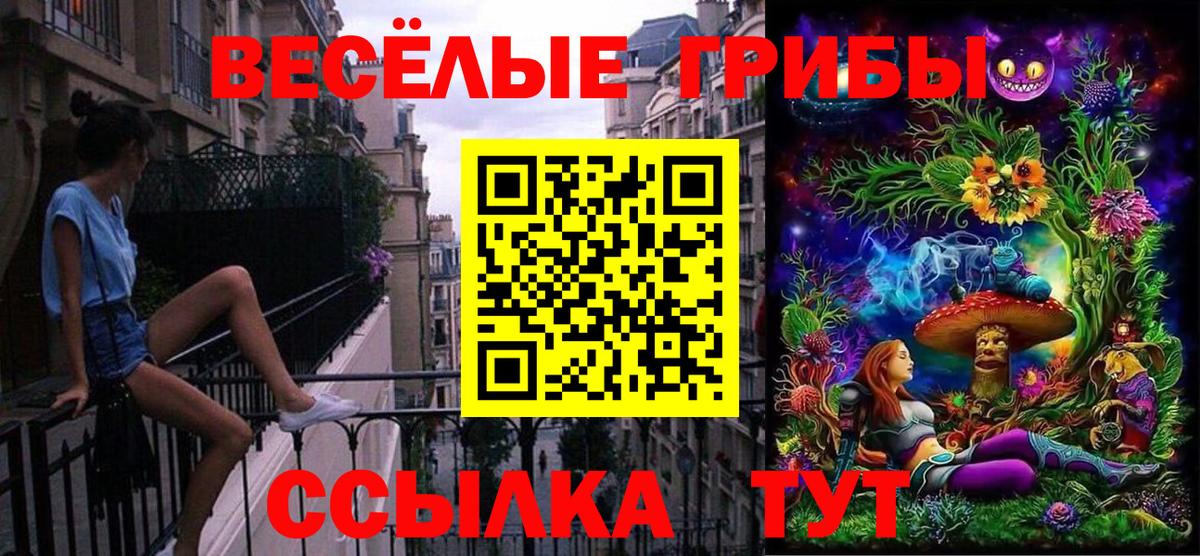 Псилоцибиновые грибы прущие грибы  Галлюциногенные грибы Magic Shrooms  Вход с VPN  Пугачёв 